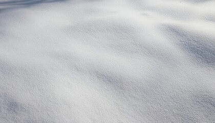 Poster - smooth pristine snow texture with soft natural light shadows, perfect for seasonal winter background, minimalistic design uses

