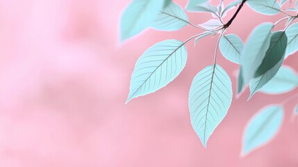 Poster - Pastel spring concept. Soft green leaves against a pastel pink background, creating a tranquil and soothing vibe.