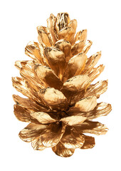 Golden pine cone isolated on white background.PNG