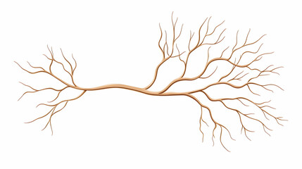 Bare tree branch, winter landscape, isolated on white, nature design element