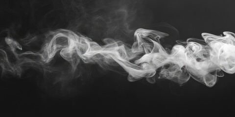 Wall Mural - graceful white smoke swirls delicately against a solid black background with a smooth fluid motion c
