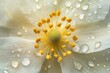 © ArzStudio - Stunning Close-Up of a Flower with Dew Drops Captured in Gigapixel Quality for Nature Enthusiasts