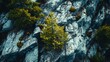 © zerogami - Aerial View of Rocky Terrain with Lush Greenery