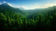 © Arthur Constantine - Lush Green Forest Landscape with Mountains and Scenic Sky View
