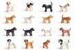 © artemstepanov - Cute funny cartoon dogs, 3d realistic puppy pet pictogram, dogs set on white background