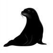 © Constantinos - Elegant Seal Silhouette