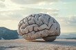 © Timur - Large stone resembling a human brain in conceptual imagery