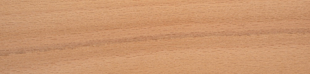 Wall Mural - Evaporated beech veneer showcasing warm tones and smooth wood texture