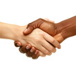 © Wizard - Interracial handshake unity diversity togetherness