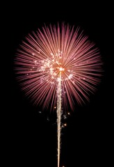 Wall Mural - Pink and orange fireworks on black background with a bright burst