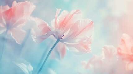 Aufkleber - Pastel Tulips with Vintage Colors and Soft Focus Background Creating a Dreamy Floral Atmosphere
