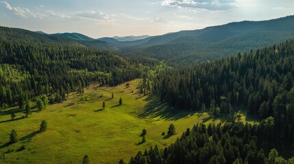 Aufkleber - Aerial view of a lush green summer forest landscape under a clear blue sky with rolling hills and shadows from tall trees in a serene mountain setting