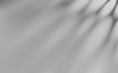 Wall Mural - abstract shadow overlay on a transparent background.