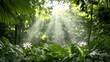 Sunlight illuminating exotic flowers in lush rainforest setting