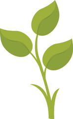 Wall Mural - Small green plant growing with three leaves, representing concepts such as nature, growth, and environmental awareness