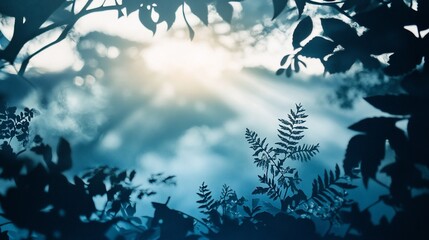 Poster - Silhouetted leaves and ferns frame a bright sunlit sky.