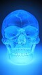 © Morninghead - Illuminated Crystal Skull, Glowing Blue Light, Anatomical Model