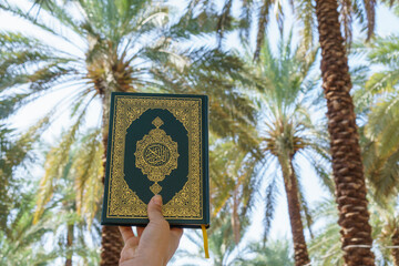 A pilgrim girl holds the Holy Quran printed in Medina against the background of beautiful date palms in the sacred Garden of Salman al-Farisi in radiant Medina.  dates palm garden. Place for text.