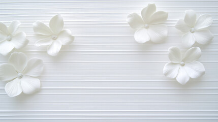 Poster - Elegant white flowers arranged on textured white background, creating serene and calming atmosphere