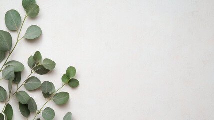 Poster - Minimalist green leaves on soft white background create serene atmosphere. Perfect for nature inspired designs