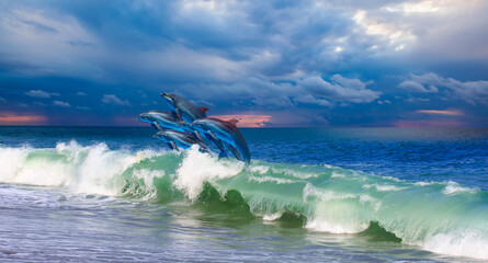Poster - Group of dolphins jumping on the wave at sunset