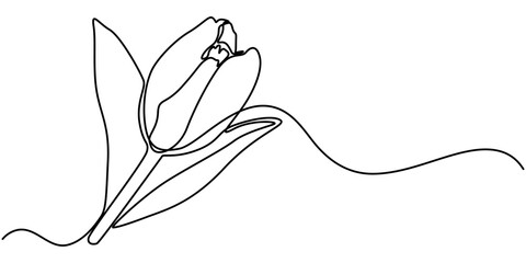 Wall Mural - Continuous one line art drawing of beauty jasmine flower, One continuous line drawing of Plumeria flower. Frangipani blossom with petals for floral tattoo in simple linear style. Plant jasmine. 