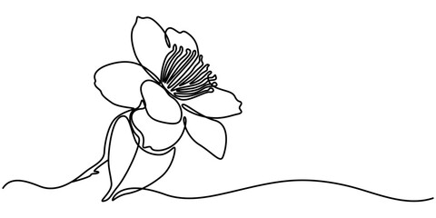 Wall Mural - Continuous one line art drawing of beauty jasmine flower, One continuous line drawing of Plumeria flower. Frangipani blossom with petals for floral tattoo in simple linear style. Plant jasmine. 