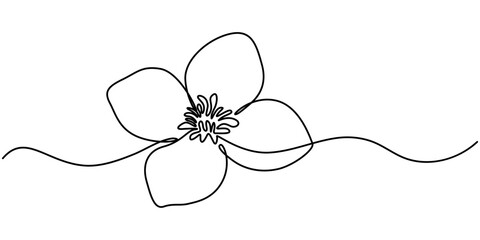 Wall Mural - Continuous one line art drawing of beauty jasmine flower, One continuous line drawing of Plumeria flower. Frangipani blossom with petals for floral tattoo in simple linear style. Plant jasmine. 