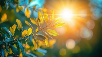 Wall Mural - Sunlit leaves on branch, bokeh background, nature backdrop.
