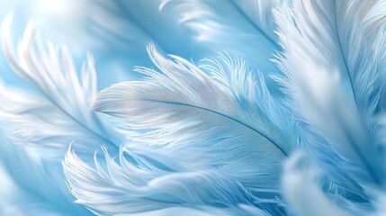 Wall Mural - light blue feathers soft texture background closeup.