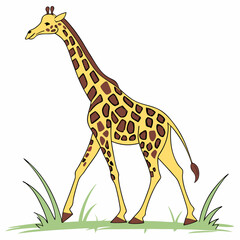 Poster - giraffe cartoon isolated on white