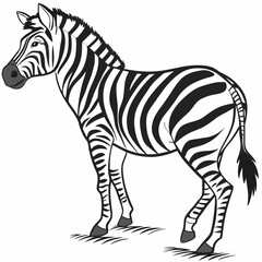 Canvas Print - zebra vector illustration