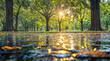 © remake - Magical sunrise streaming through majestic forest trees reflecting in puddle water with golden bokeh lights. Peaceful woodland scenery with sunbeams piercing morning mist tranquil natural environment.
