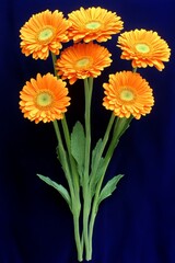 Poster - Yellow fresh gerbera flowers elegantly displayed on a vibrant blue background. A clean and modern take on spring floral arrangements