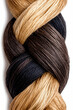 © Butsarakham - A close-up image showcasing a beautifully braided hair strand featuring shades of blonde, brown, and black.