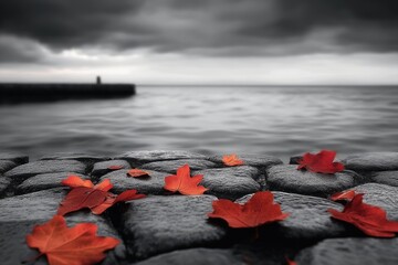 Red autumn leaves on dark stones by a moody sea under a stormy sky.