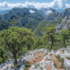 Canvas Print - Breathtaking Mountainous Landscape with Lush Forests and Rocky Peaks Under a Blue Sky with Clouds - Perfect for Nature Lovers and Outdoor Enthusiasts