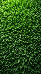 Poster - A vibrant, textured pattern of green blades, reminiscent of grass or a plant's leaves