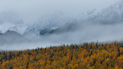 Wall Mural - scenic landscape in autumn time in alaska countryside caught in dense fog.