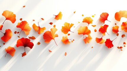 Poster - Autumn Ginkgo leaves falling on white background.