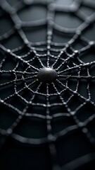 A delicate, intricate web spun by a skilled arachnid