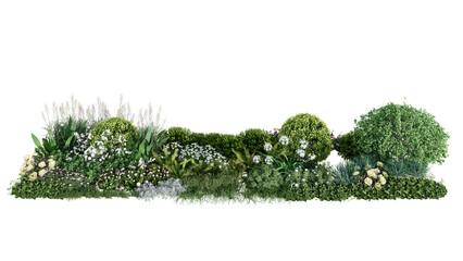 Wall Mural - 3d rendering illustration nature meadow bush on lawn grass field beautiful plant on isolate backgrou
