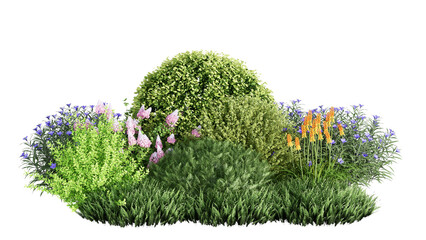 Wall Mural - 3d rendering illustration nature meadow bush on lawn grass field beautiful plant on isolate backgrou