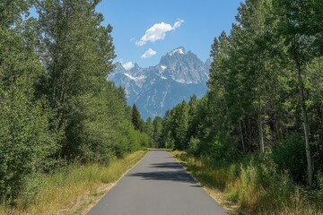 Wall Mural - scenic paved path, mountain view, summer trees, cycling