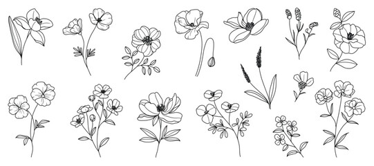 Set of hand drawn botanical flower line art vector. Collection black white contour drawing of foliage, wildflower, poppy, peony, eucalyptus. Illustration design for logo, wedding, invitation, decor.