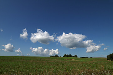 Green field, tree and blue sky landscape anime background