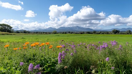 Fototapete - Sunny meadow wildflowers, mountain backdrop, idyllic rural landscape, perfect for travel brochures