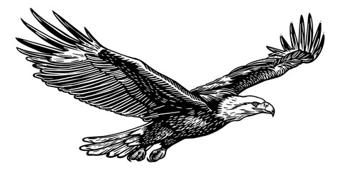 Wall Mural - bald eagle fly engraving black and white outline