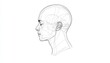 © kasya - Detailed sketch of a human head in profile, showcasing anatomical features and structure for educational use