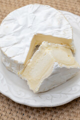 French soft Camembert cheese, original Camembert de Normandie, close up with white mold